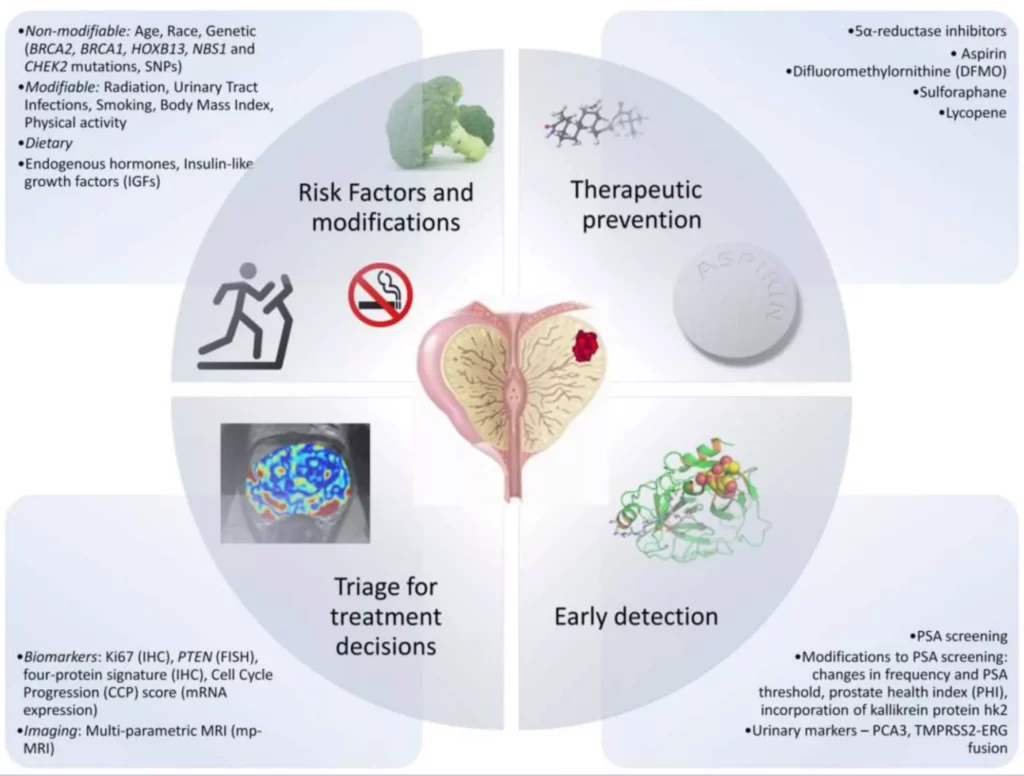 risk factors and modifications for PROSTATE CANCER.jpeg