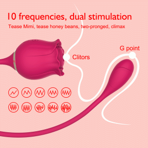 Double Action Rose Toy 10 frequencies dual stimulation