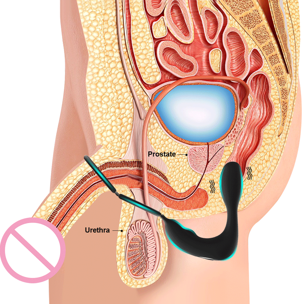 anal dildo for men vibrating dildo