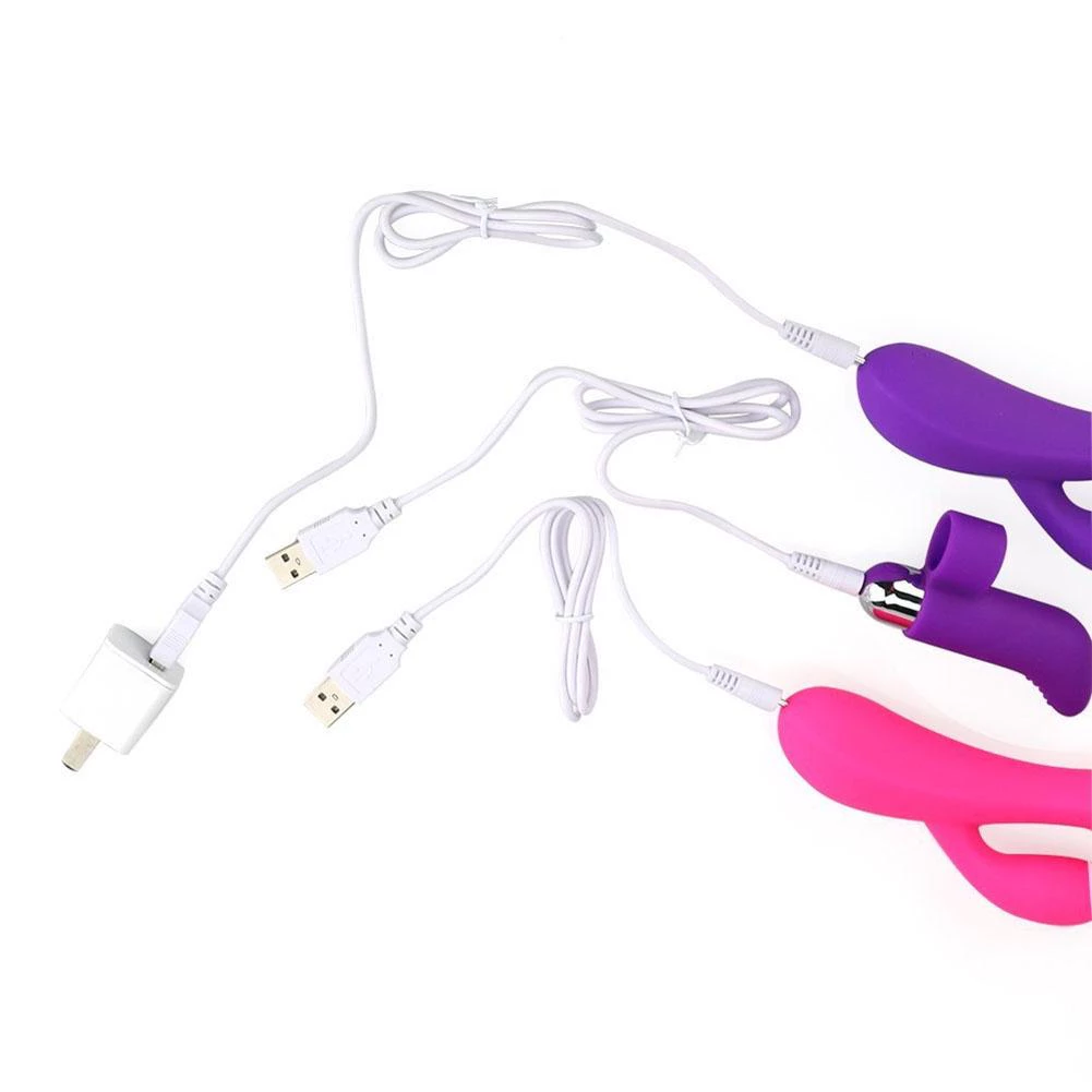 lost vibrator charger